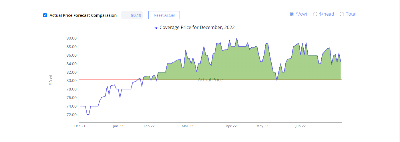 Price Evolution Analysis - Chart with Actual Forecast Comparison